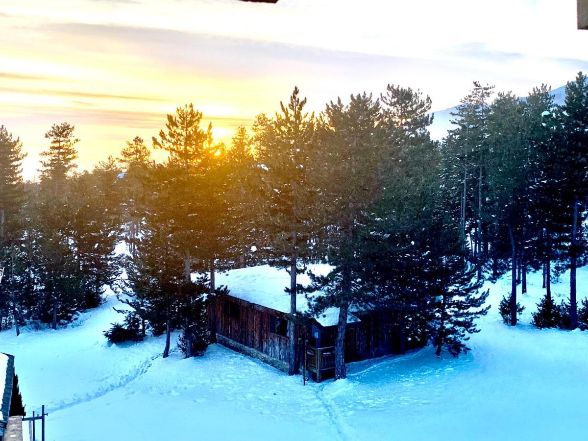 Entire Private Apartment In Pirin Golf & Country Club 반스코 외부 사진
